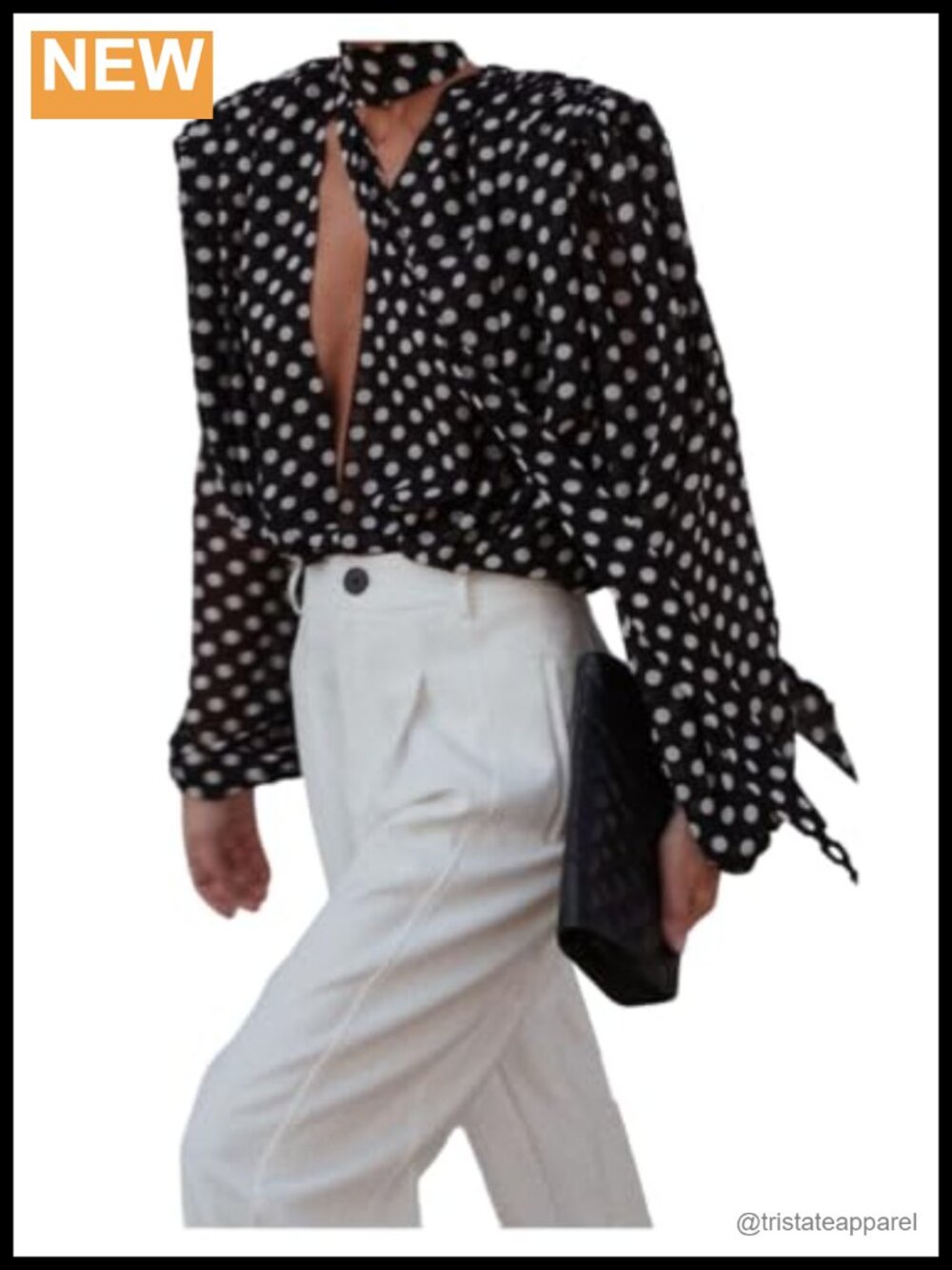 Sheer Polka Dot Long Sleeve Tie Neck Blouse Women's